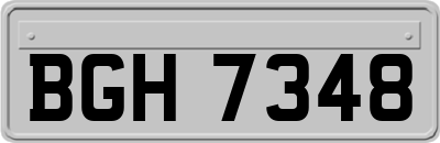 BGH7348