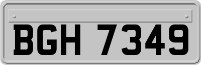 BGH7349