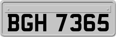 BGH7365