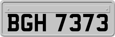 BGH7373
