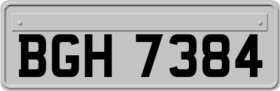 BGH7384