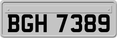 BGH7389