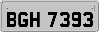 BGH7393