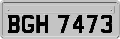 BGH7473