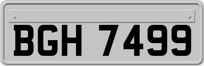 BGH7499