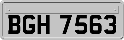 BGH7563