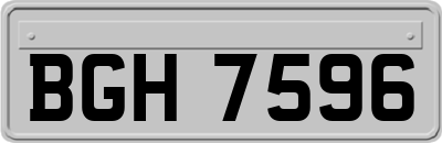 BGH7596