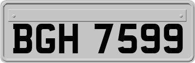BGH7599