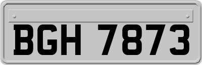 BGH7873