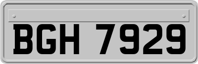 BGH7929