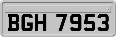 BGH7953