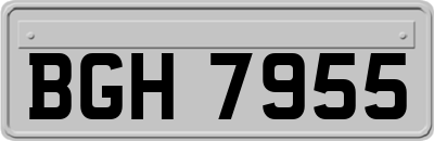 BGH7955