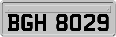 BGH8029