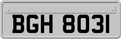 BGH8031