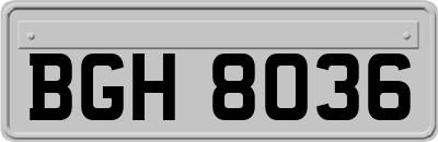 BGH8036