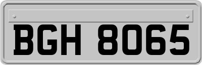 BGH8065