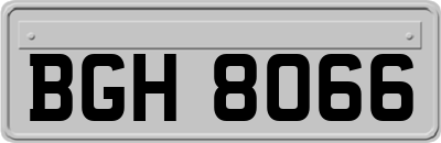 BGH8066