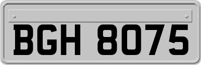 BGH8075