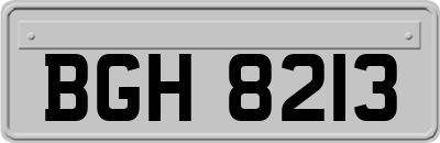 BGH8213