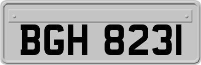 BGH8231