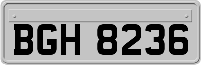BGH8236