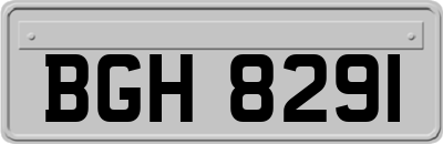 BGH8291