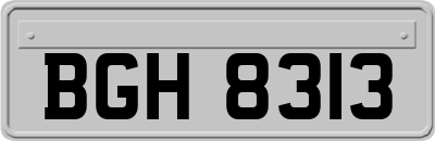BGH8313