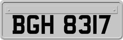BGH8317