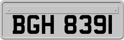 BGH8391