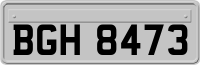 BGH8473