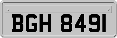 BGH8491