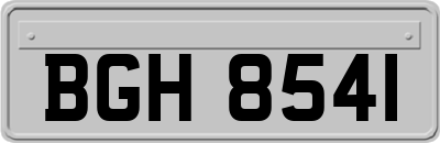 BGH8541