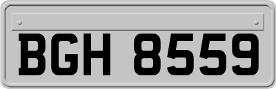 BGH8559