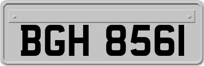 BGH8561