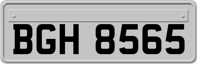 BGH8565