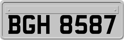 BGH8587