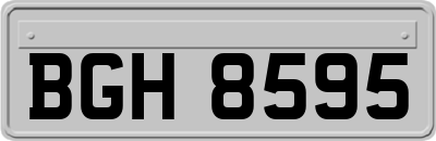 BGH8595