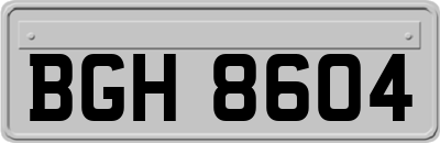 BGH8604