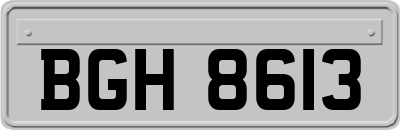 BGH8613