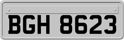 BGH8623