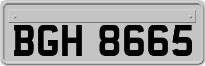 BGH8665