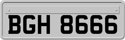 BGH8666
