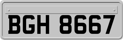 BGH8667