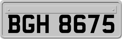 BGH8675