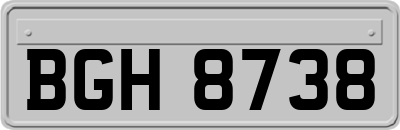BGH8738
