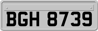 BGH8739