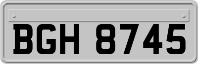 BGH8745