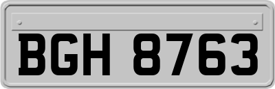 BGH8763