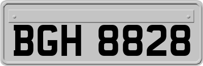 BGH8828