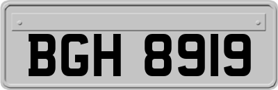 BGH8919